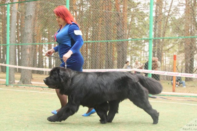 Фотография № 64839