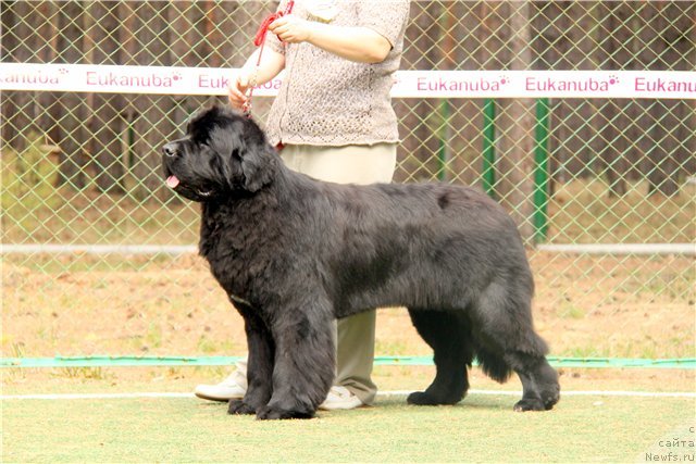 Фотография № 64840