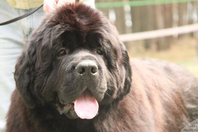 Фотография № 64845