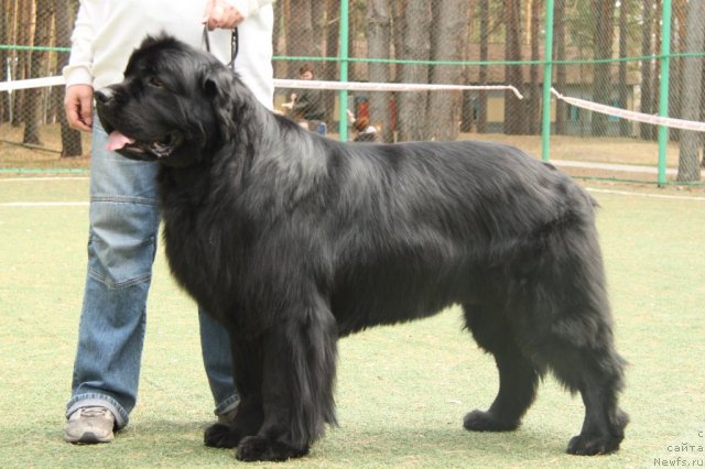 Фотография № 64846