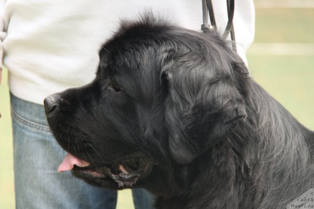 Фотография № 64847