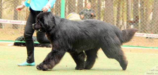 Фотография № 64853