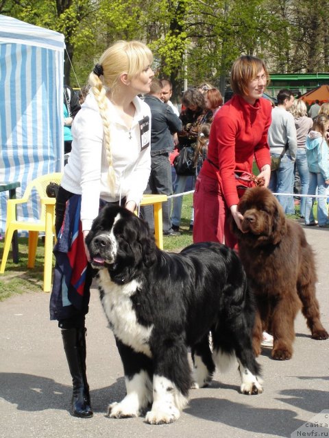 Фотография № 64865