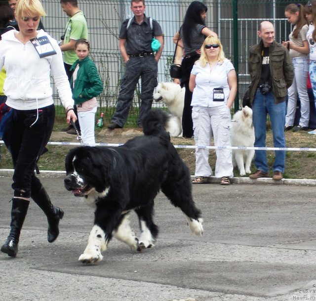 Фотография № 64867