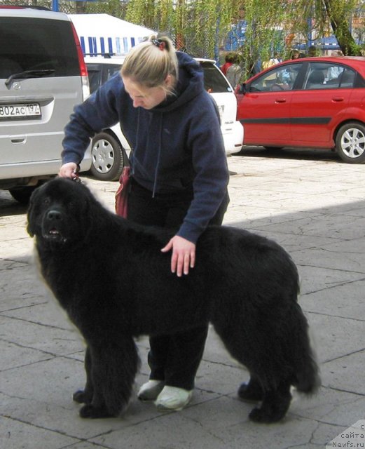 Фотография № 64869