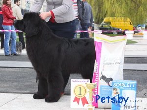 Фотография № 64870