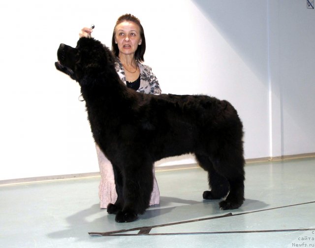 Фотография № 64891