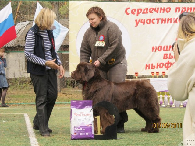 Фотография № 64958