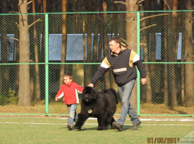 Фотография № 64977