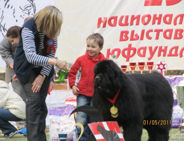 Фотография № 64980