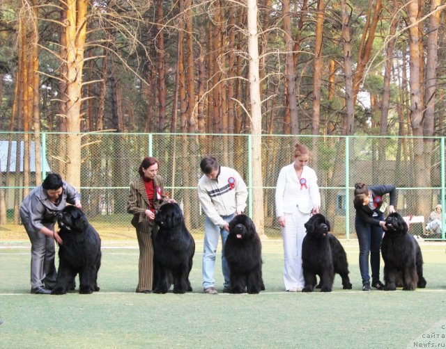 Фото: Татьяна Абутова