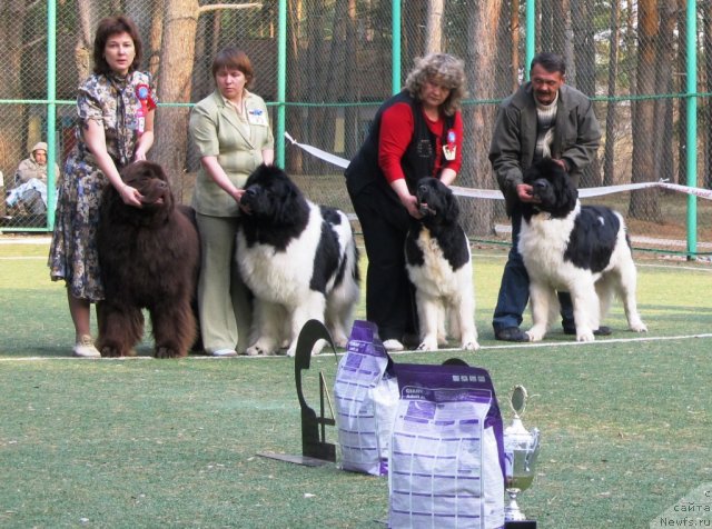 Фотография № 64993