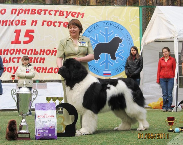 Фотография № 64999