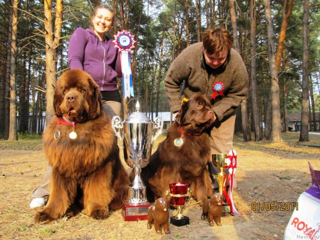 Фотография № 65000