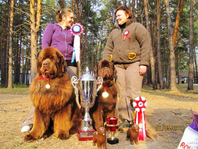 Фотография № 65001