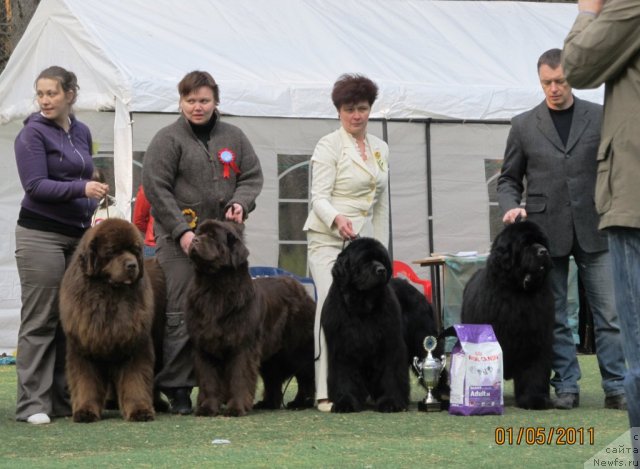 Фотография № 65005