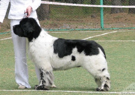 Фотография № 65009