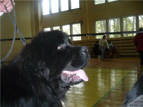 Фотография № 6510