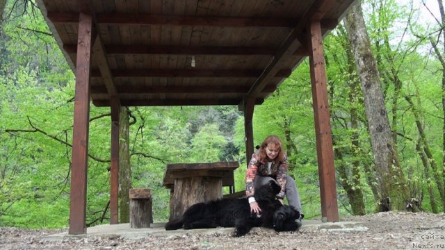 Фотография № 65126