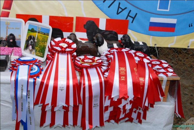 Фотография № 65132