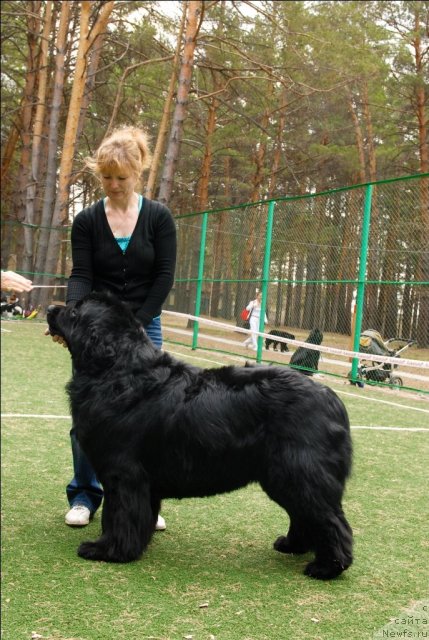 Фотография № 65136