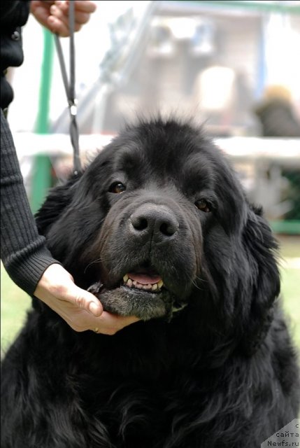 Фотография № 65139