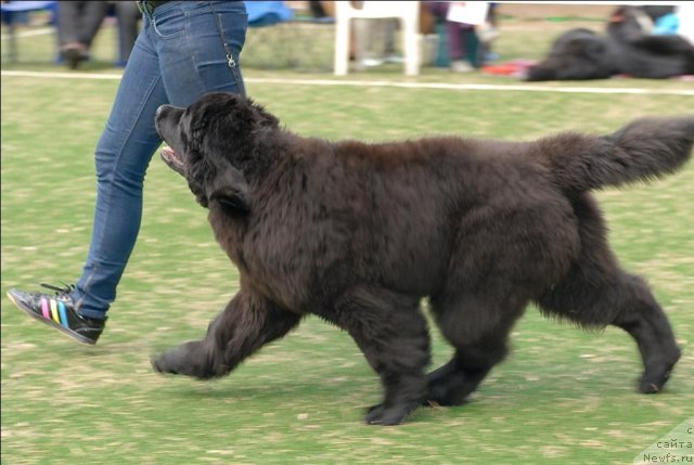 Фотография № 65140