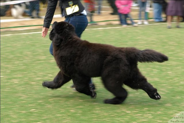 Фотография № 65141