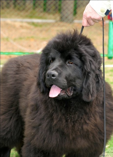 Фотография № 65144