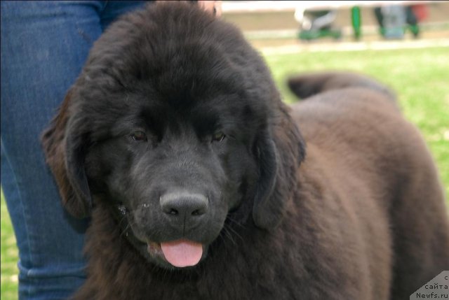 Фотография № 65145