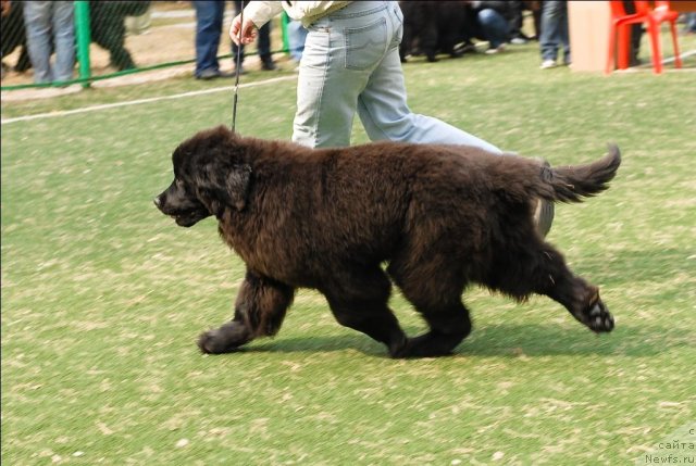 Фотография № 65147