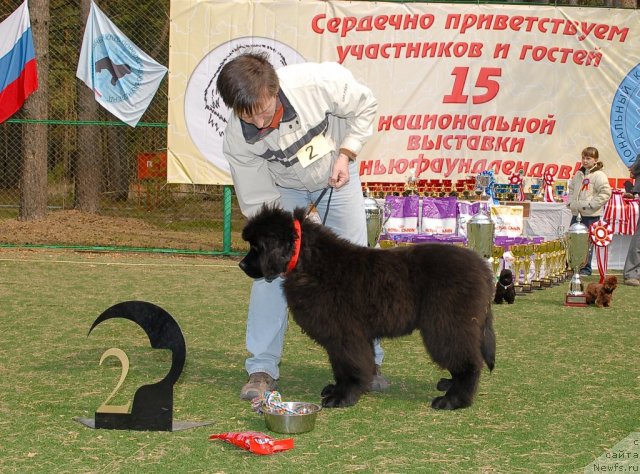 Фотография № 65152