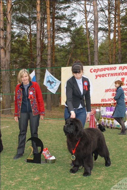 Фото: ньюфаундленд Акватория Келвин Плэй Стэйшн