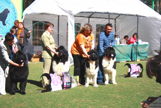 Фотография № 65172