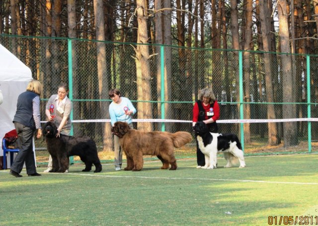 Фотография № 65179