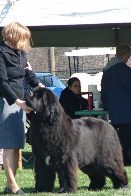 Фотография № 65207