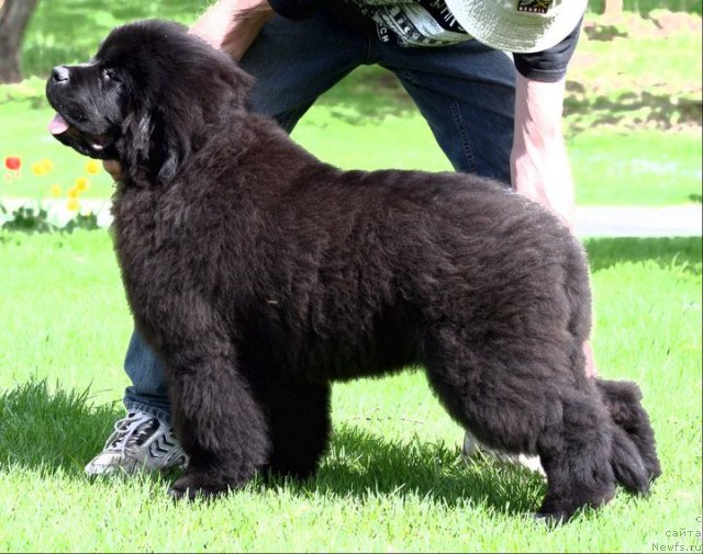 Фотография № 65210