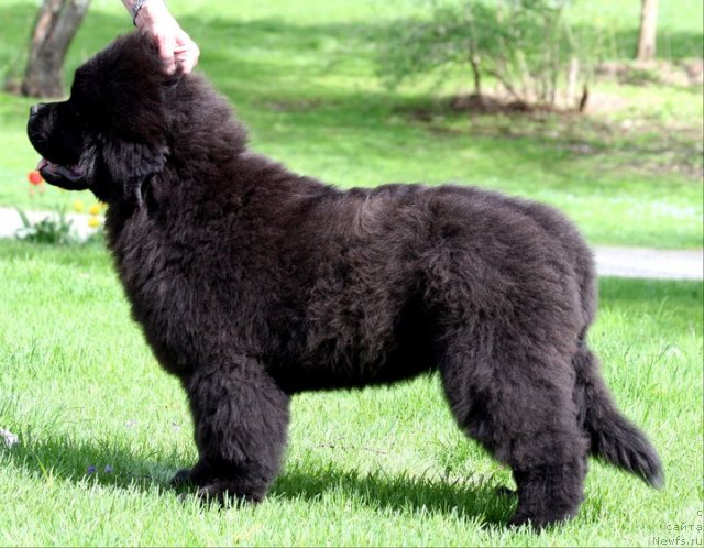 Фотография № 65211