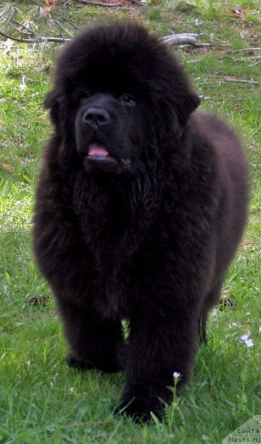 Фотография № 65214