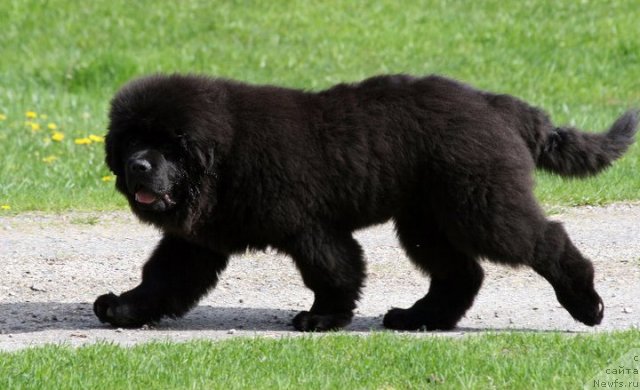 Фотография № 65215