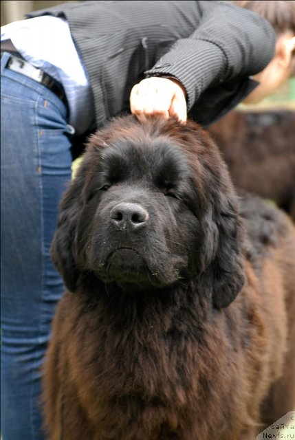 Фотография № 65221