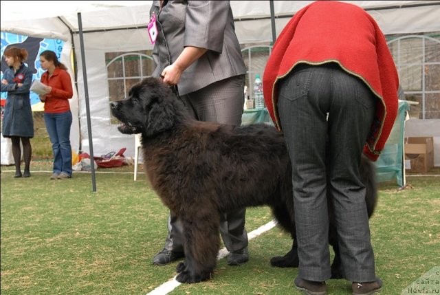 Фотография № 65223