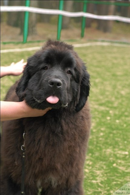 Фотография № 65224