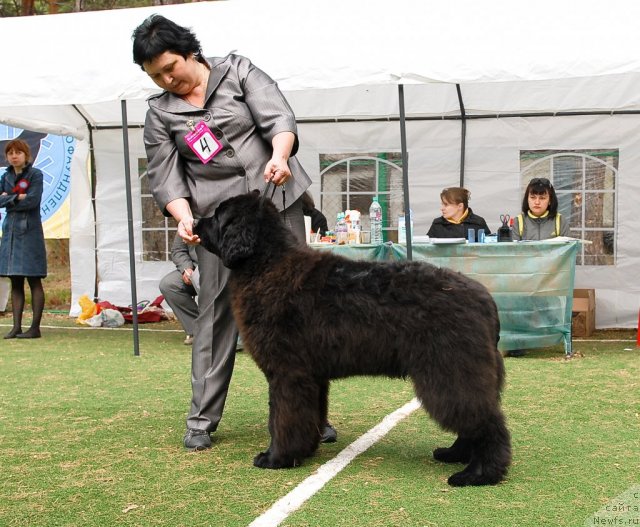 Фотография № 65225