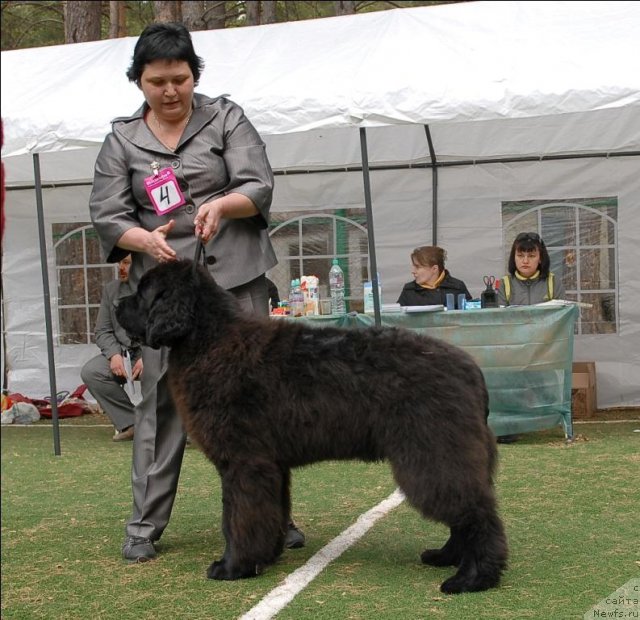 Фотография № 65226