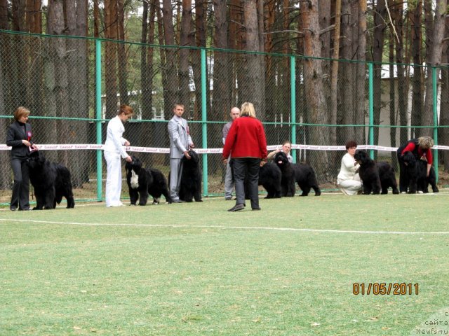 Фото: Алексей Нистратов, Ирина Панюшкина, Алексей Ступников, Ксения Новикова, Надежда Стрельцова