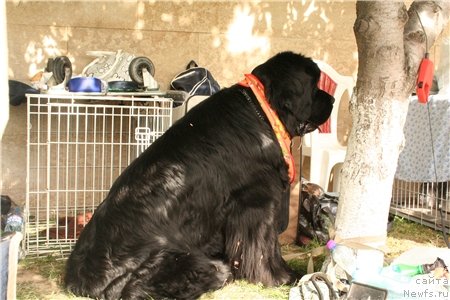 Фотография № 65278