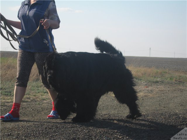 Фотография № 65279