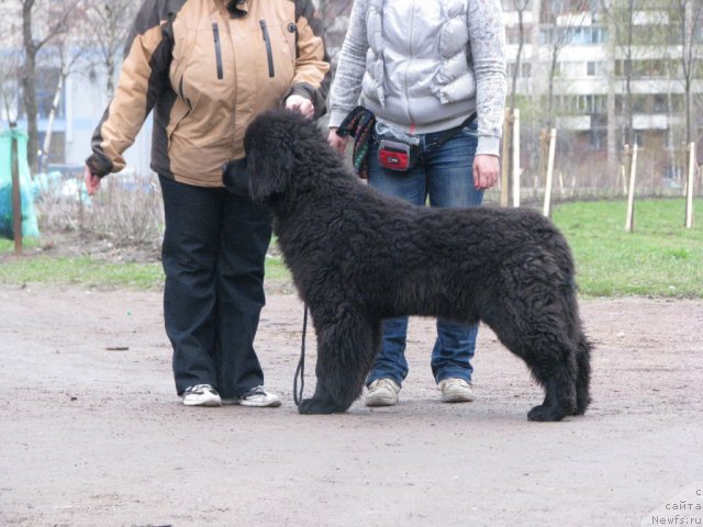 Фотография № 65288