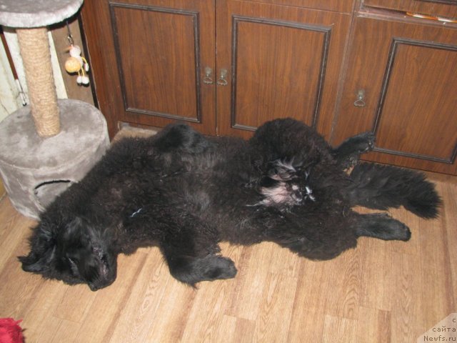 Фотография № 65292